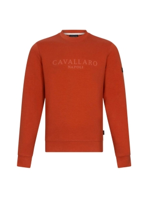 Cavallaro trui Celio