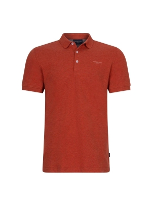 Cavallaro bavone polo