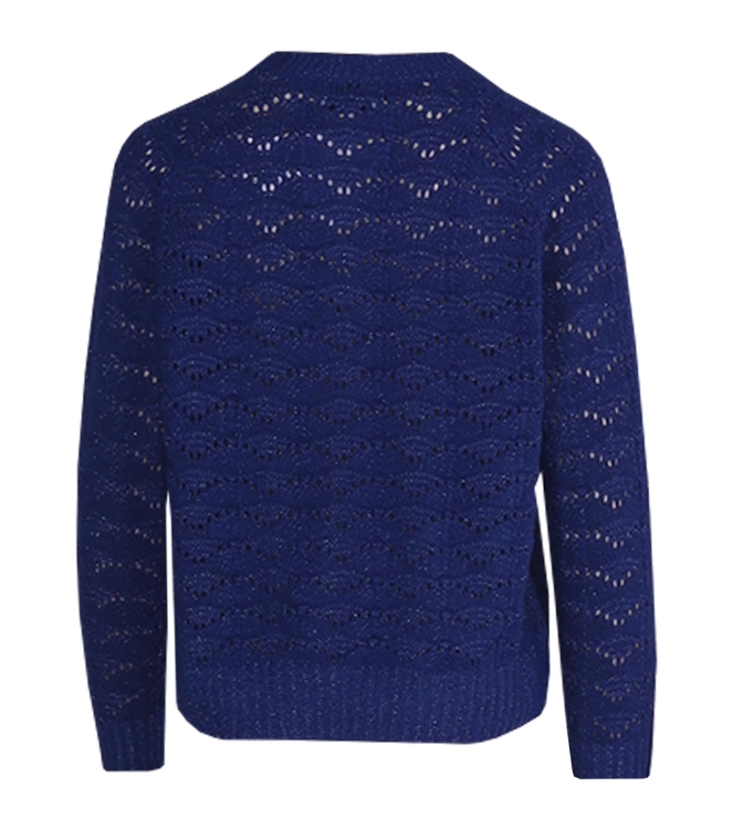 Leo en Ugo  TOP NH164 DEBu Deep blue