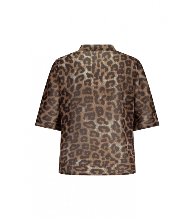 Label Dot Aline 997 panter