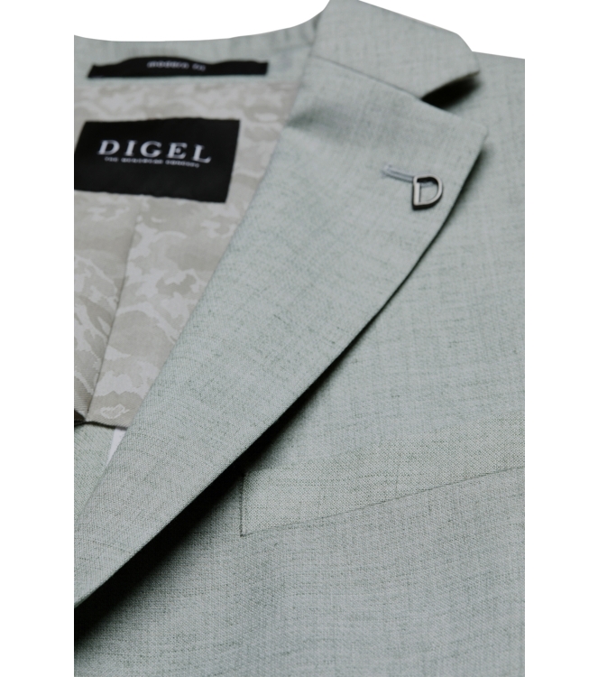 Digel Edward 54 Grun