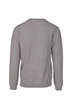 Dstrezzed Mercury Crewneck 107 Silver birch