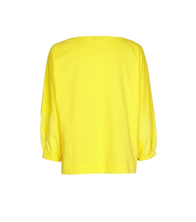 Xandres FANG 4010 sunflower