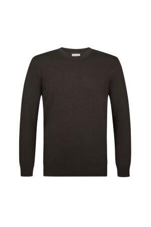 Profuomo PULLOVER CREW NECK D BROWN H2Darkbrown
