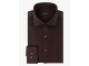 Cavallaro Piquo Shirt 899000 Dark brown