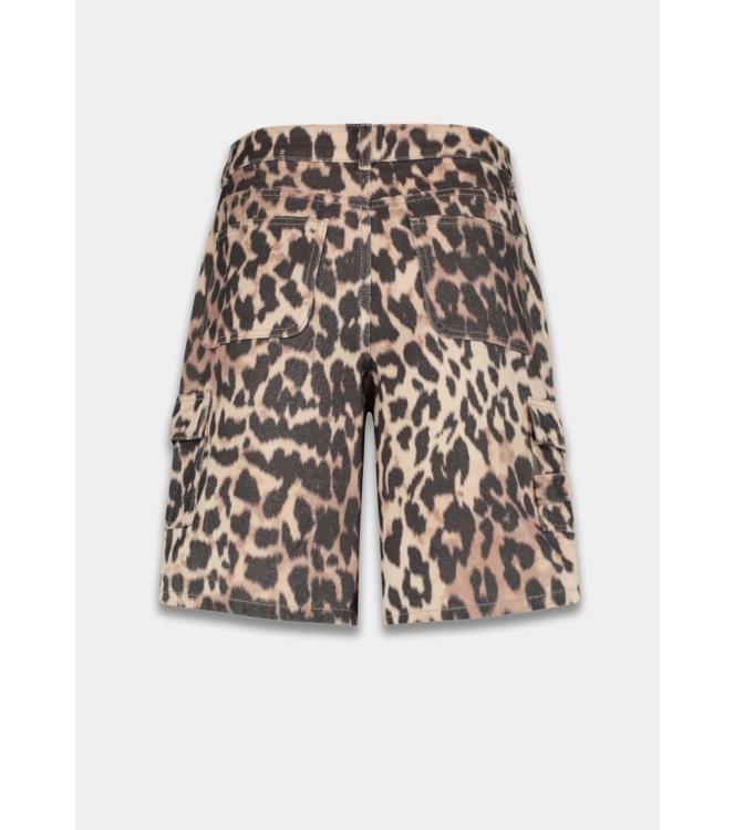 Harper and Yve SCOTT-SH 1104 lexie leopard light