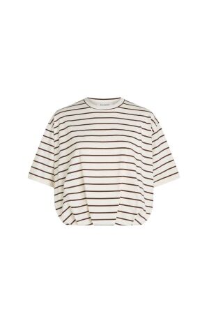 Beaumont DOLORES Top 2580 cacao bean